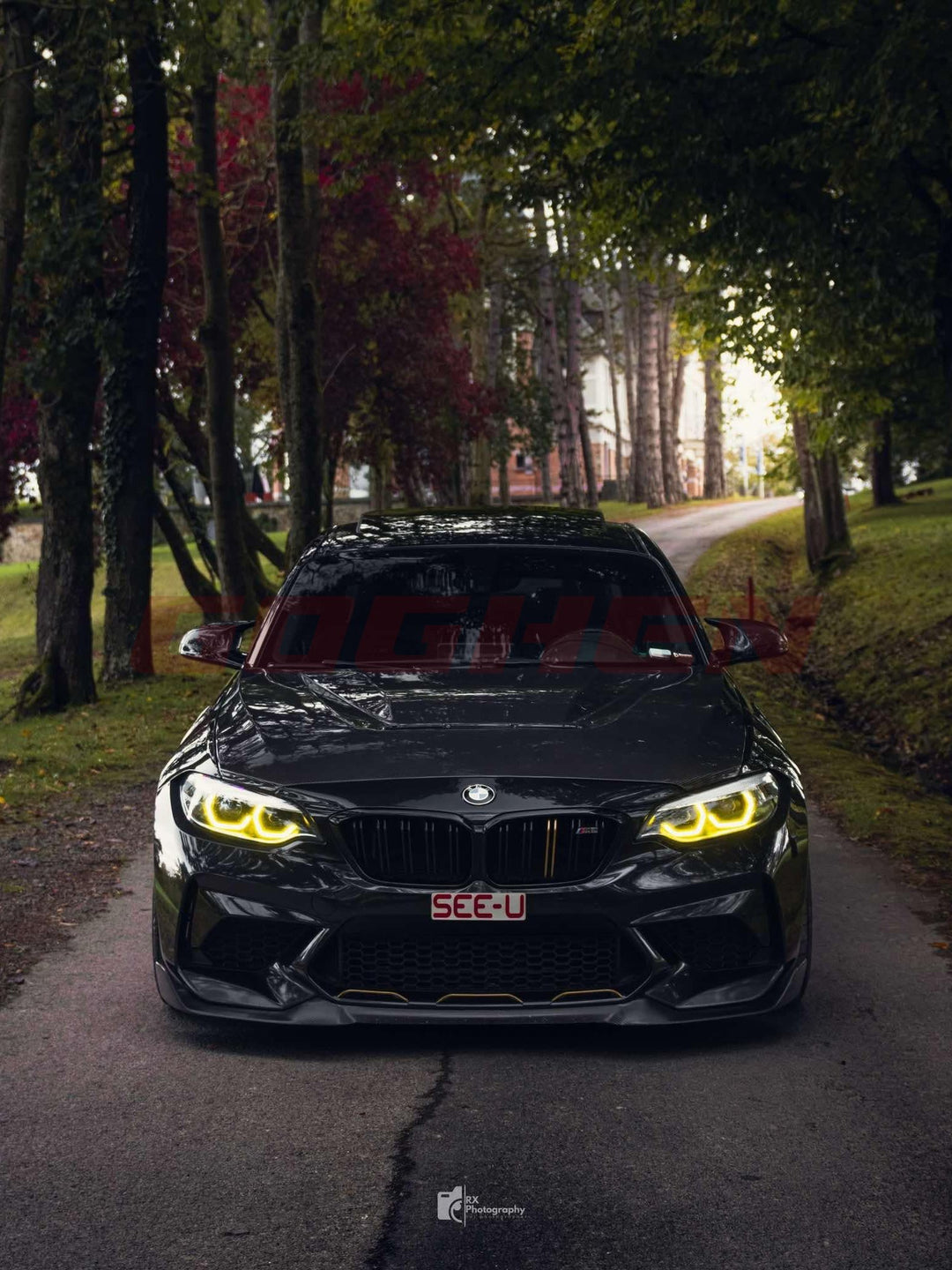 DRY CARBON FIBER HOOD FOR BMW M2 F87 CS STYLE - Goghen Designs