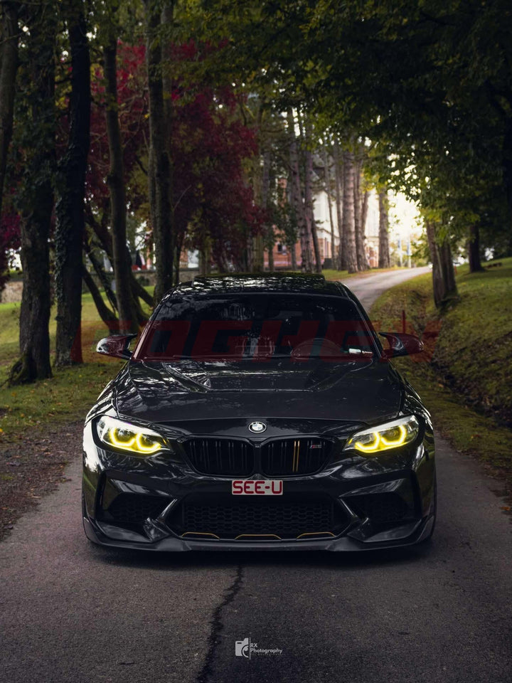 DRY CARBON FIBER HOOD FOR BMW M2 F87 CS STYLE - Goghen Designs