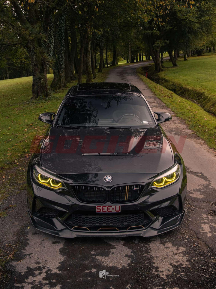 DRY CARBON FIBER HOOD FOR BMW M2 F87 CS STYLE - Goghen Designs